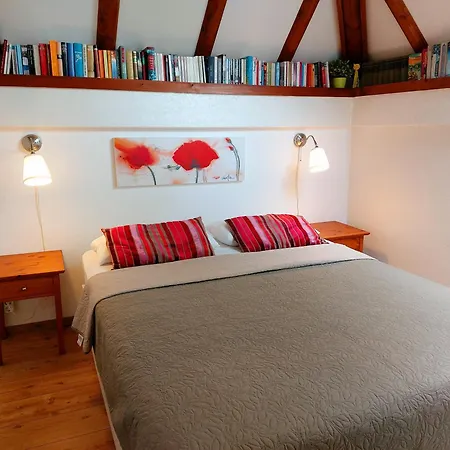 度假居 87 Am Silbersee Frielendorf