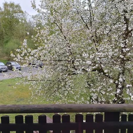 87 Am Silbersee Дом отдыха *