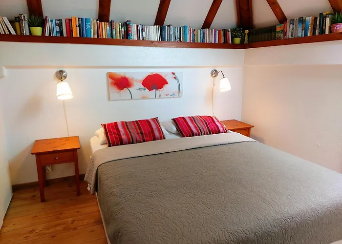 Ferienhaus 87 Am Silbersee Frielendorf