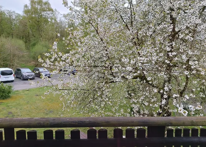 87 Am Silbersee Ferienhaus *